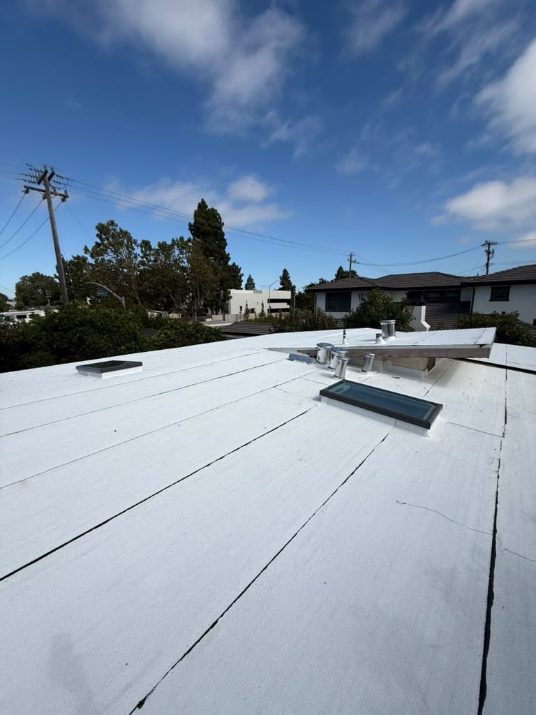 Two new skylights and a cluster of vent stacks on the white flat roof in East Palo Alto