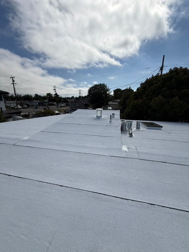 New metal pipe vents and a skylight on the white torch-applied roof in East Palo Alto