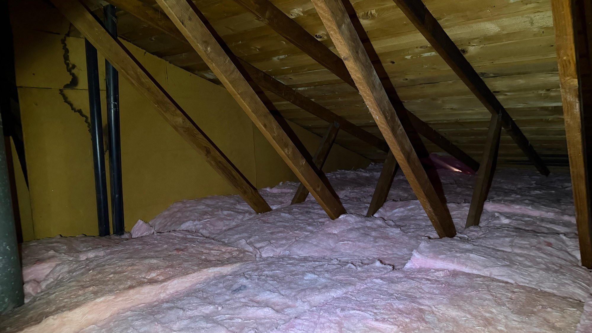 Wide view of new pink batts across the attic, trusses and a flue pipe