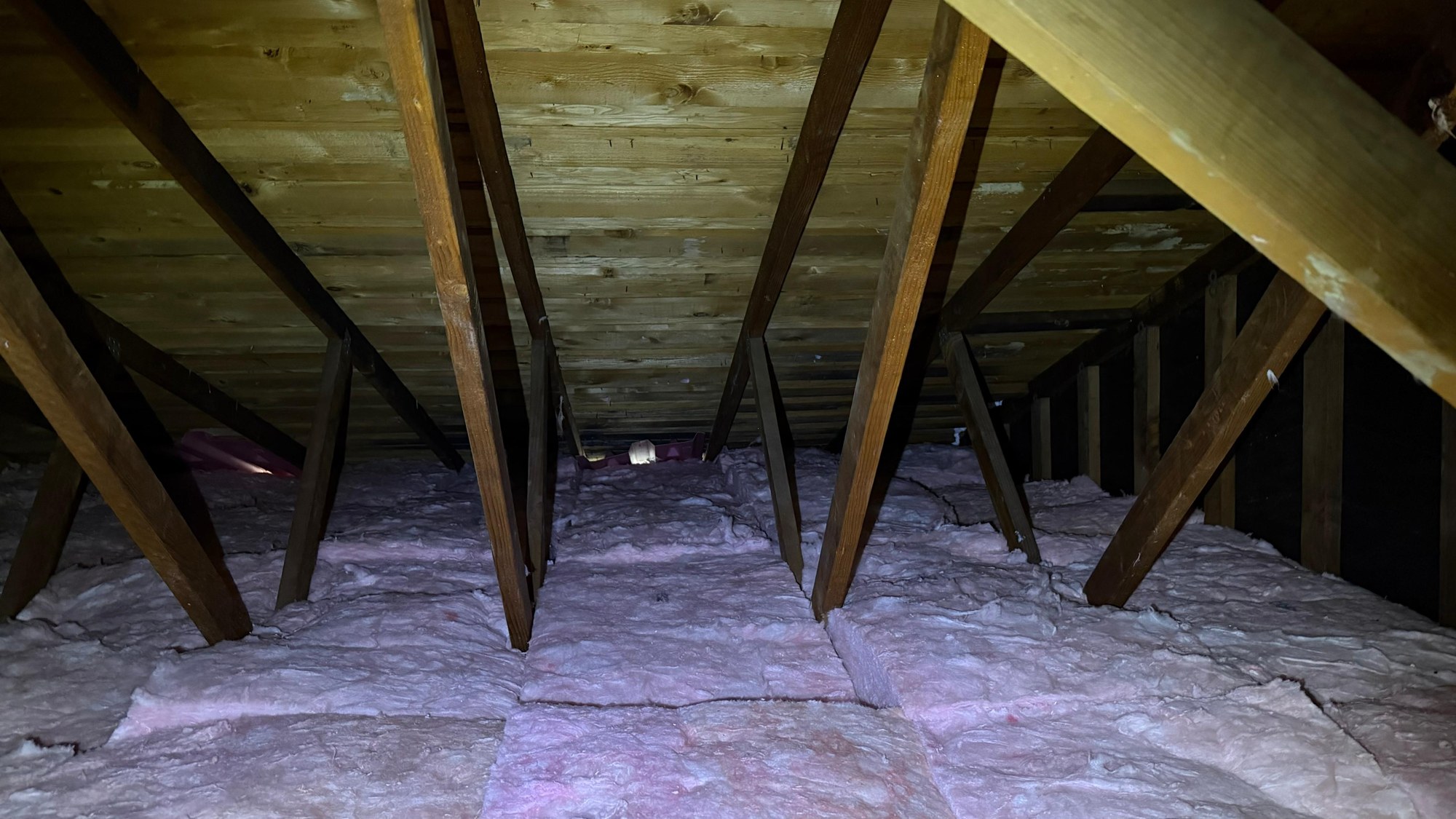 New pink fiberglass batts covering the attic floor between the roof trusses in the San Diego house